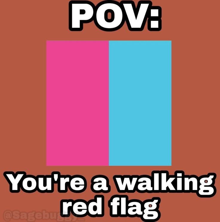 A red flag with the words POV you're a walking red flag