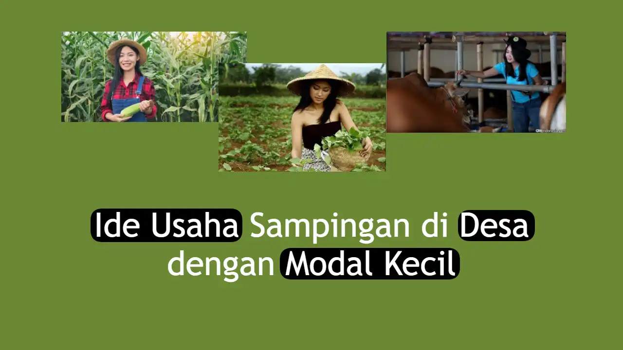 10 Ide Usaha Sampingan Di Desa Dengan Modal Kecil
