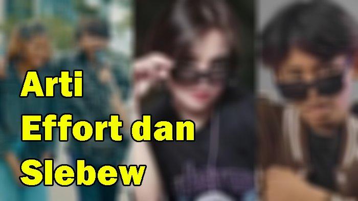 Arti Kata Effort Dalam Hubungan dan Apa Itu Slebew Dalam Bahasa Gaul ...