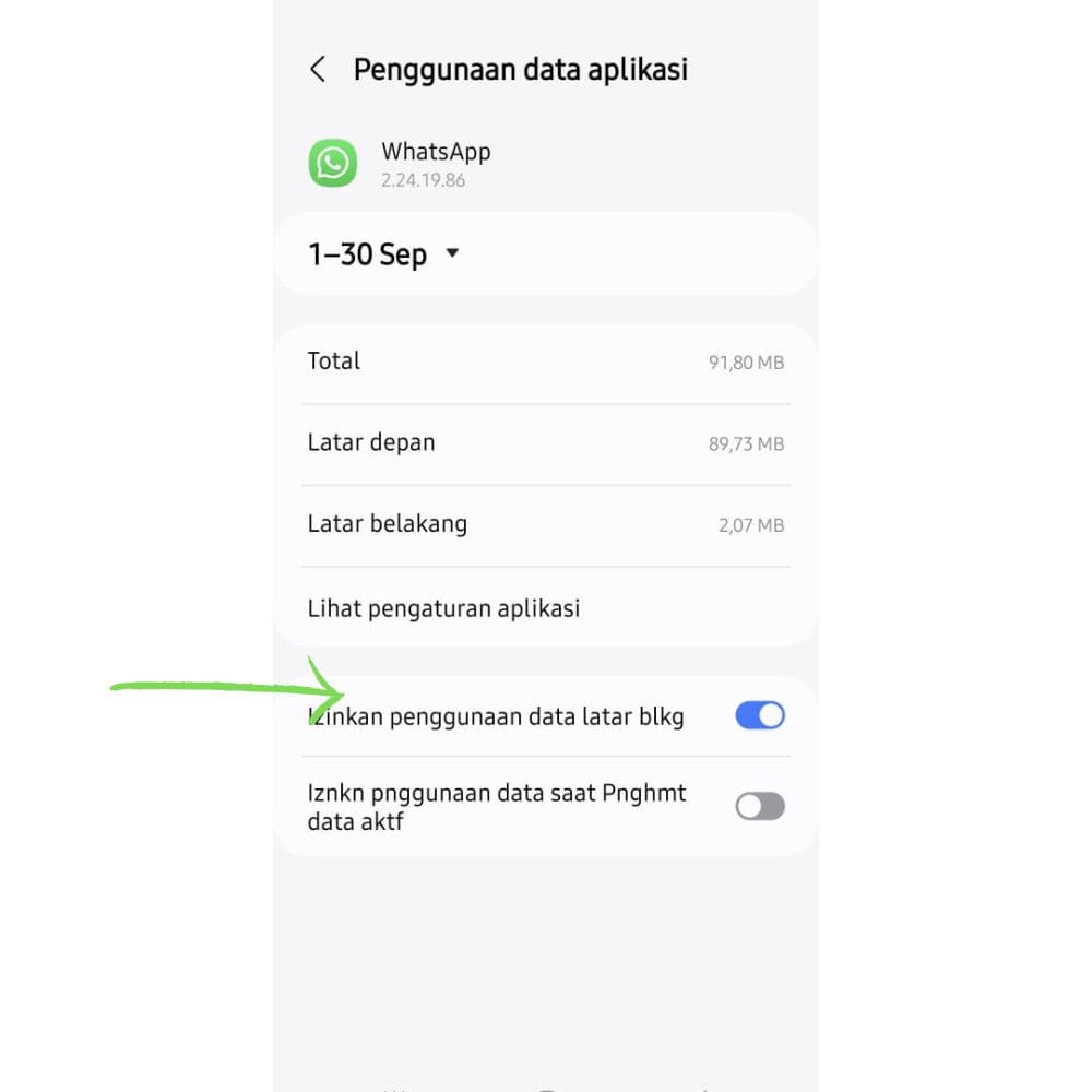 4 Penyebab dan Cara Mengatasi WhatsApp Error